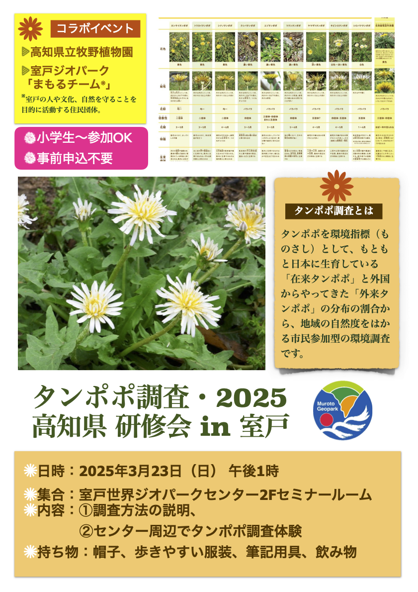 タンポポ調査2025のおしらせ
